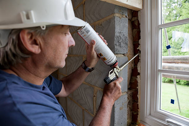 Professional Insulation in Lake Magdalene, FL